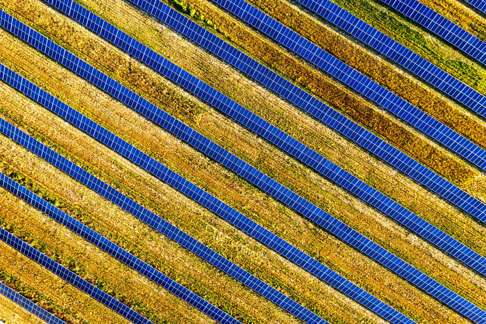 Toma aérea vibrante de paneles solares en un campo