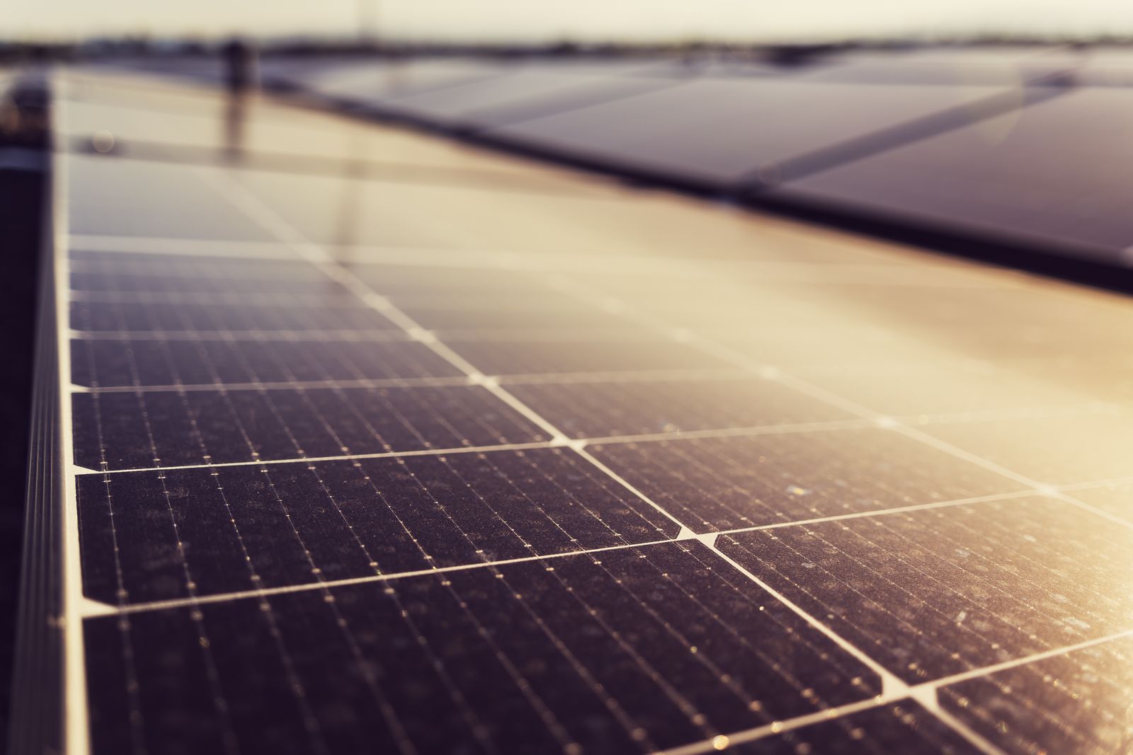 Detalle de celdas de un panel solar moderno
