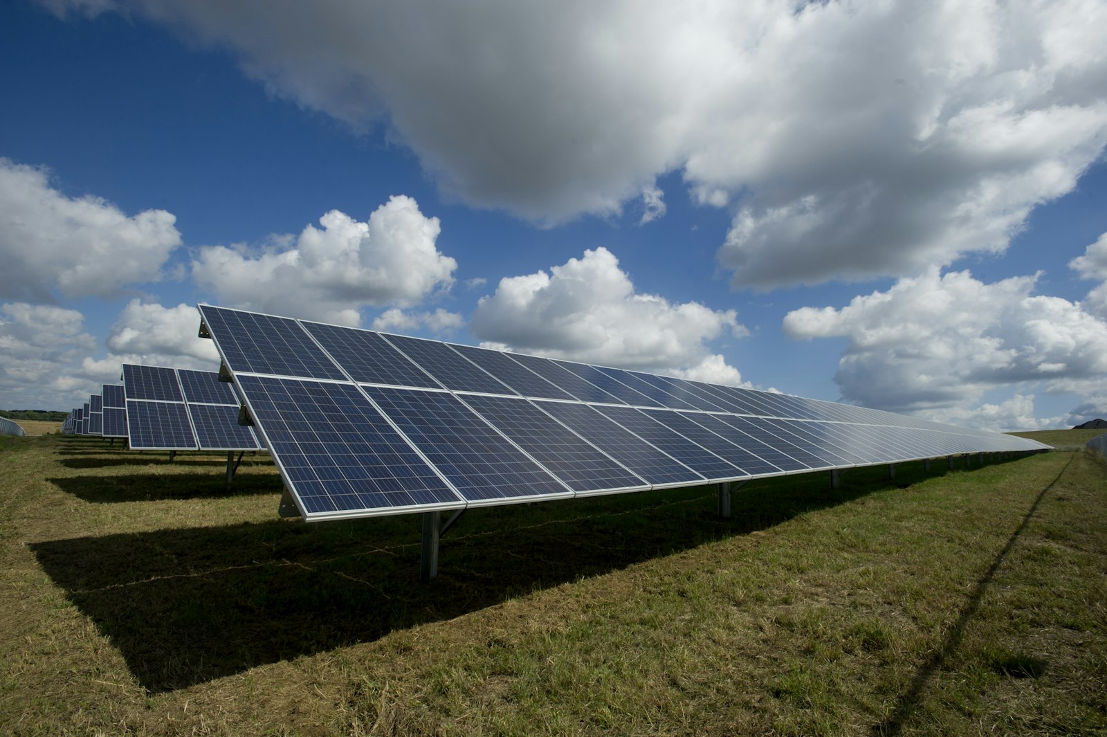 Paneles solares en un campo verde al atardecer